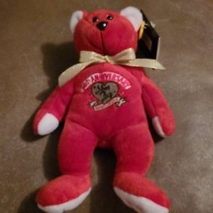 I love lucy anniversary bear